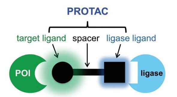PROTAC PROTAC